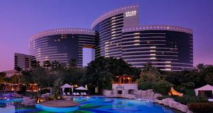 hyatt dxb