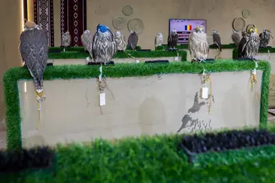 مزرعة RO FARM الرومانية تشارك بأكثر من 120 صقرًا في المزاد الدولي لمزارع إنتاج الصقور بالرياض